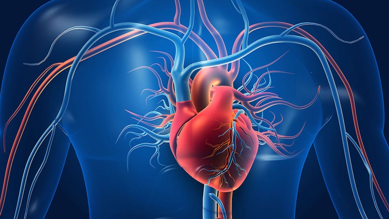 درمان تنگی های عروق قلب و عروق محیطی و سر و گردن